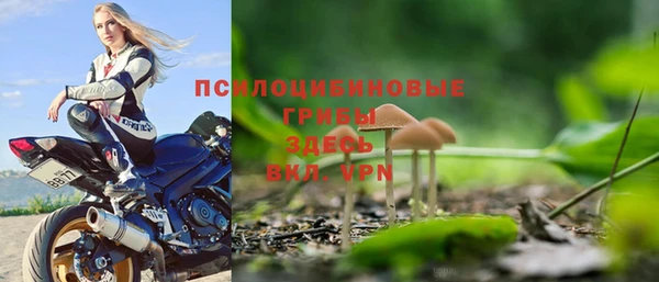 прущие крисы Мегион