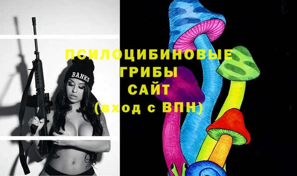 марки nbome Медвежьегорск