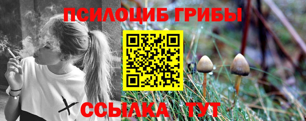 Галлюциногенные грибы Psilocybine cubensis  Вход с VPN  Канаш 
