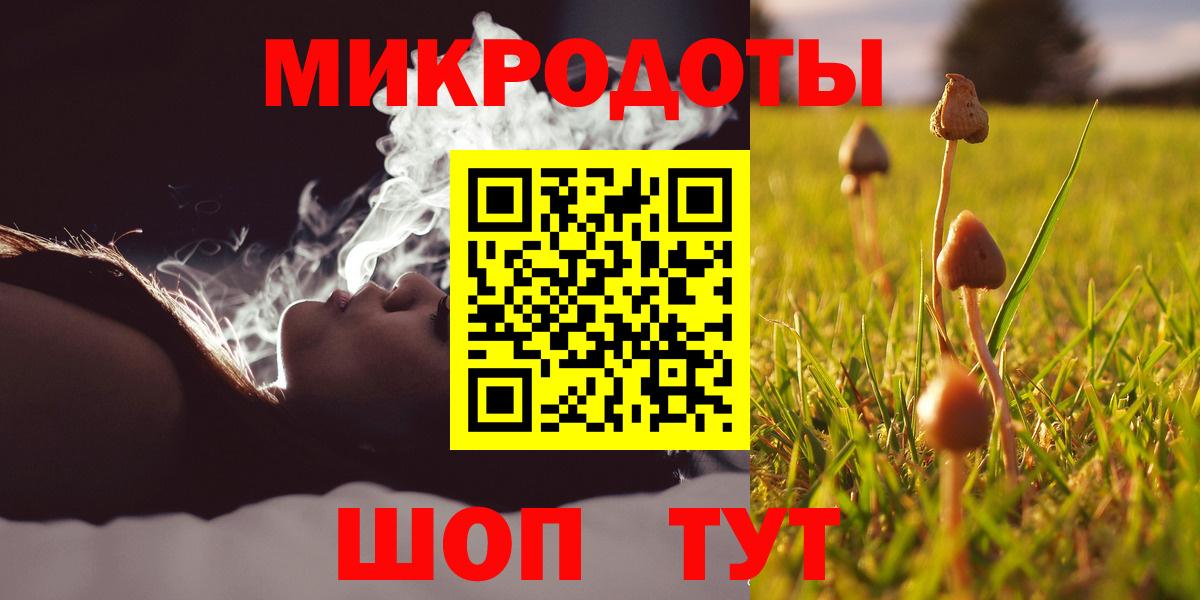 Галлюциногенные грибы Magic Shrooms Канаш